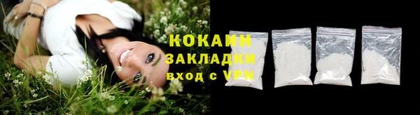 ECSTASY Богородицк